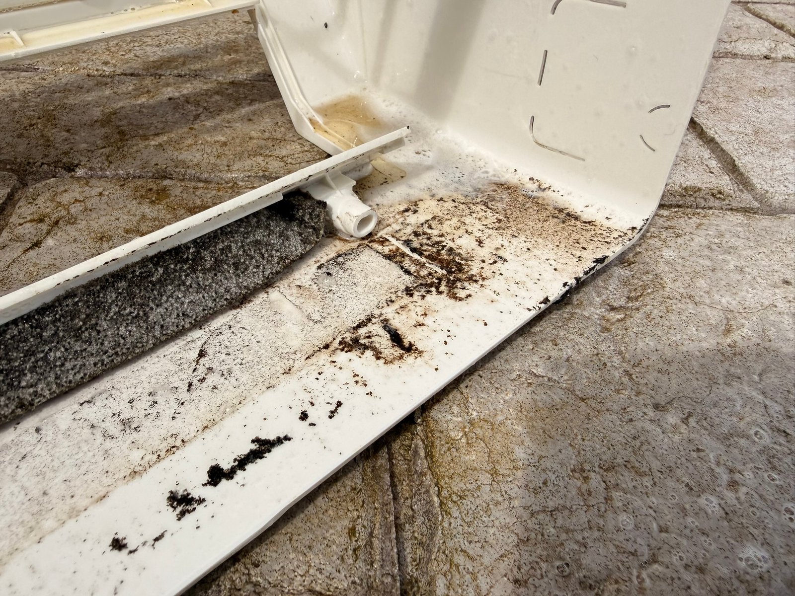 0F0928FF-19CD-48EC-9AB0-323D52606DF8_1_102_o