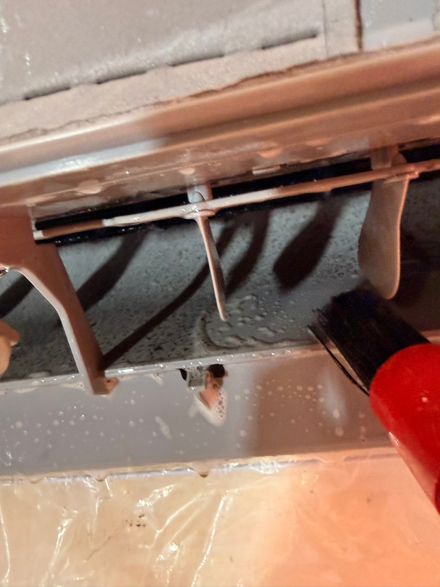 5B862773-7B28-4150-97F4-2C387D4284FC_1_102_o