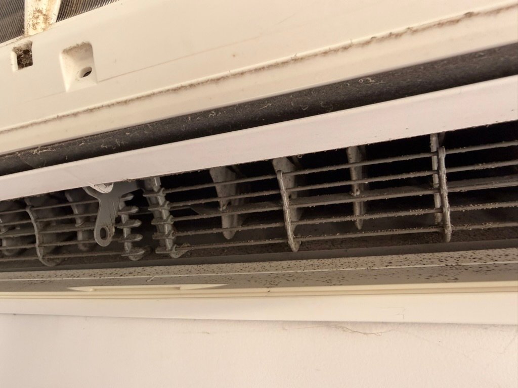 60B665E4-CB76-49BB-86B4-1A627CE362F0_1_105_c