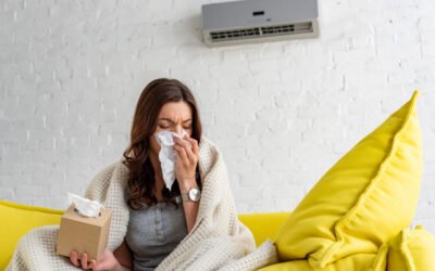 Climatisation et allergies : attention à l’air que vous respirez chez vous
