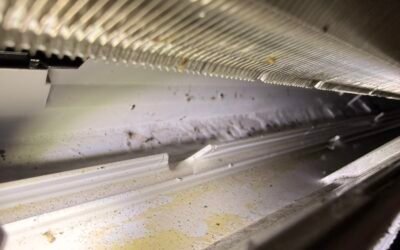 Nettoyage de 2 climatisations Daikin à Codognan : une unité en escalier et un problème de froid à diagnostiquer