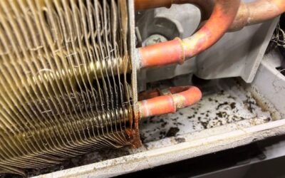 Fuite de climatisation à Marguerittes : débouchage mécanique et nettoyage complet des condensats