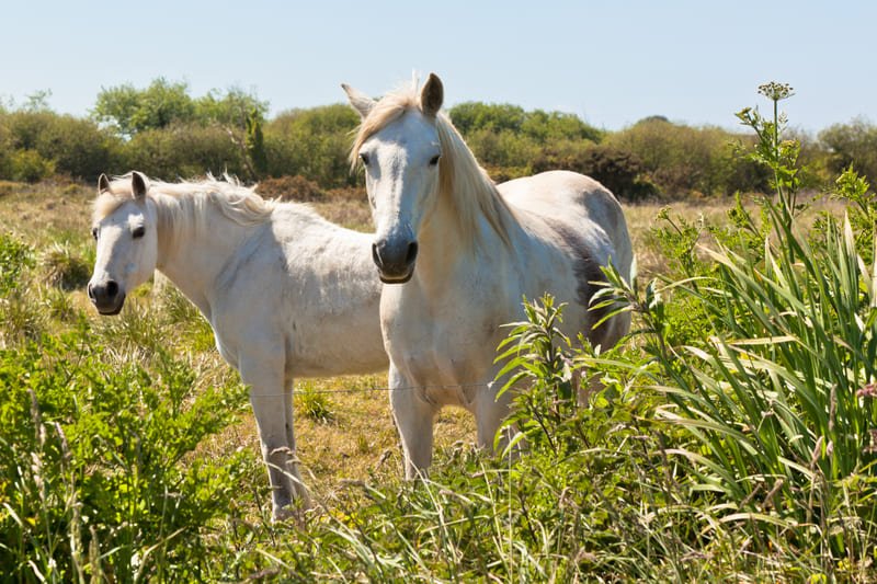 Serrurier à Nîmes en urgence