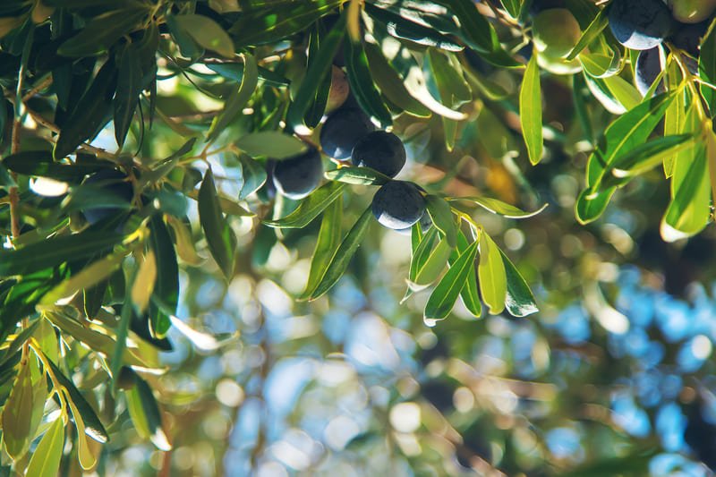 Serrurier à Nîmes en urgence